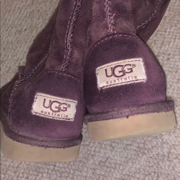Purple/Plum Tall Ugg Boots - Picture 4 of 6